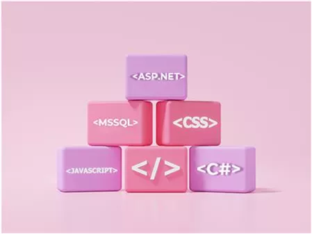 Web Tasarım